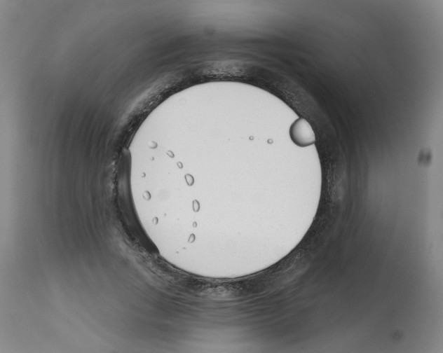 X0000112480735200909281108