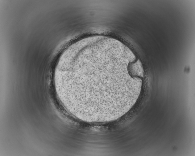 X0000112480736200909281108