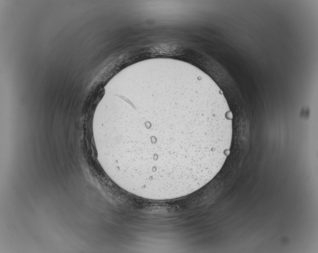 X0000112480738200909281108