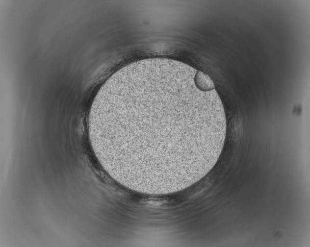 X0000112480746200909281108