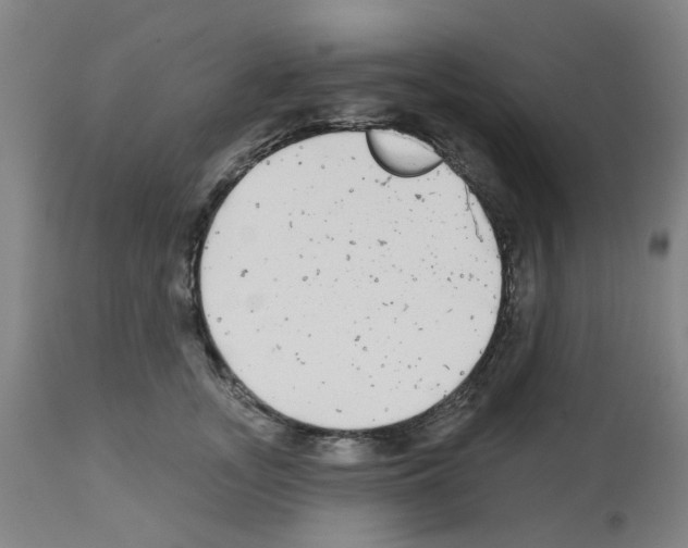 X0000112480755200909281108