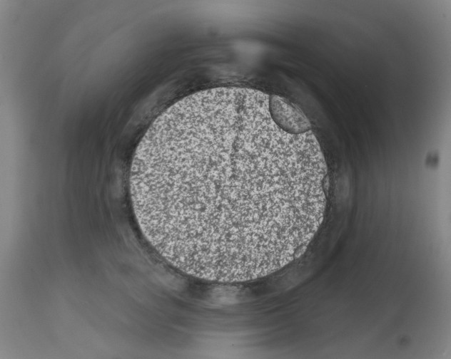 X0000112480757200909281108