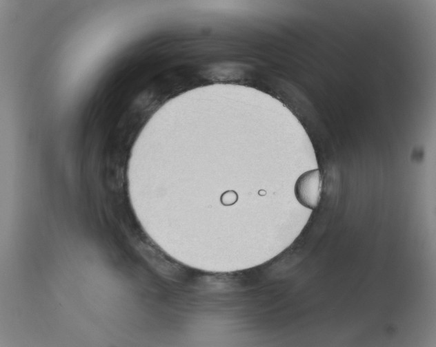 X0000112480763200909281109