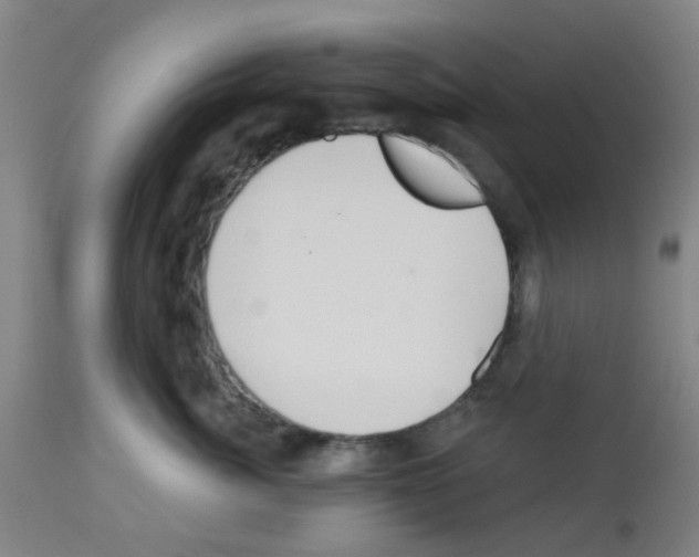 X0000112480764200909281109