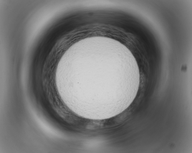 X0000112480765200909281109