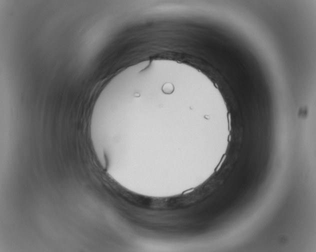 X0000112480766200909281109