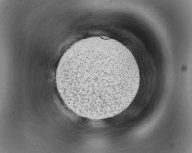 X0000112480767200909281109