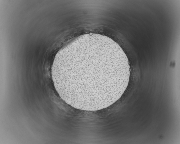 X0000112480770200909281108