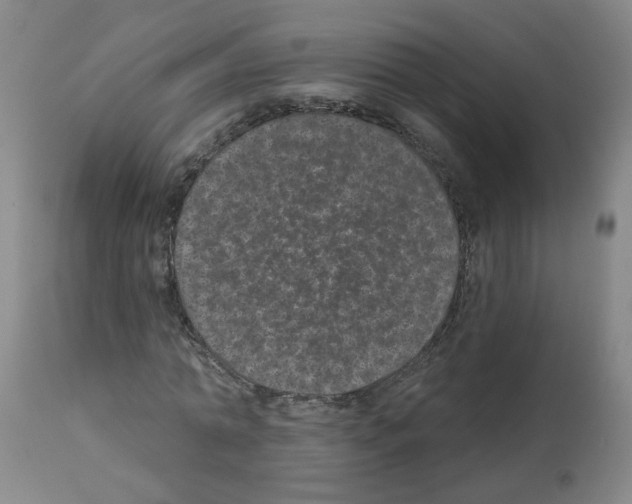 X0000112480774200909281108