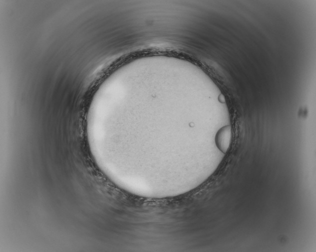 X0000112480776200909281108