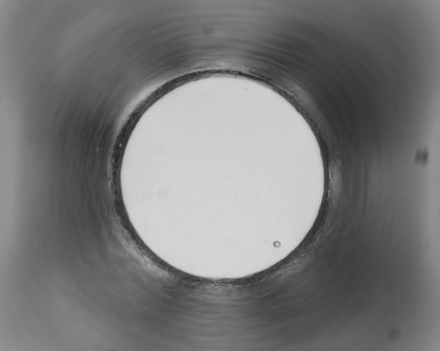 X0000112480780200909281108