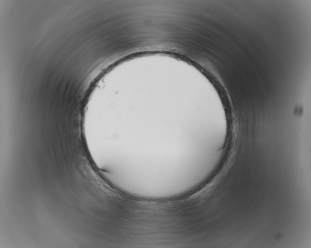 X0000112480781200909281108