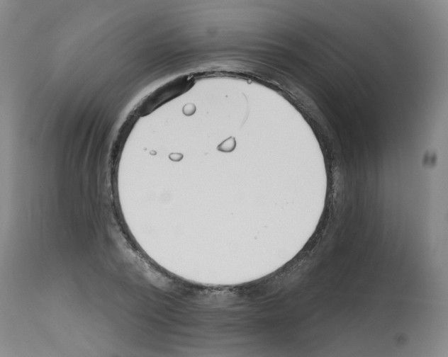 X0000112480784200909281108