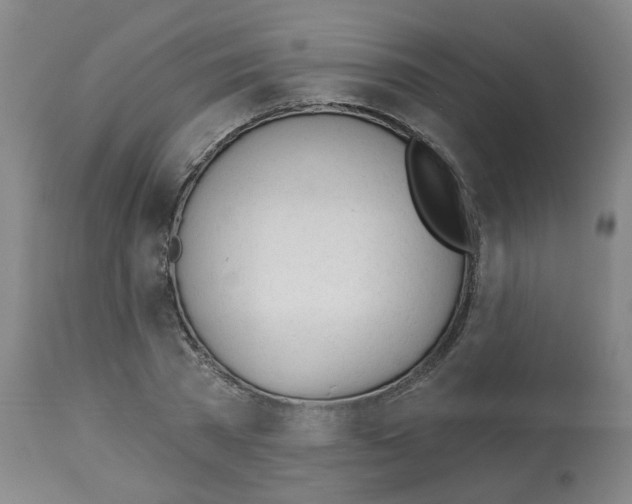 X0000112480785200909281108