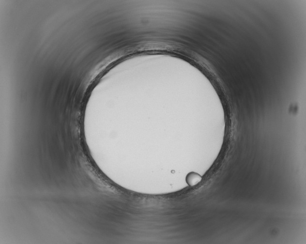 X0000112480786200909281108