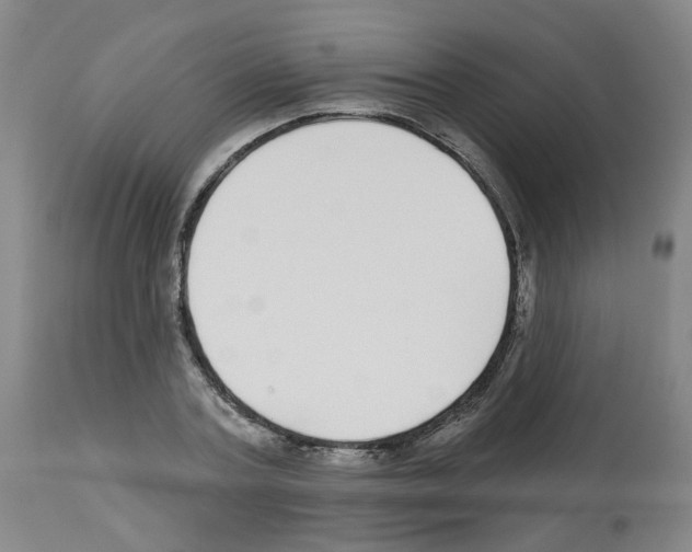 X0000112480787200909281108