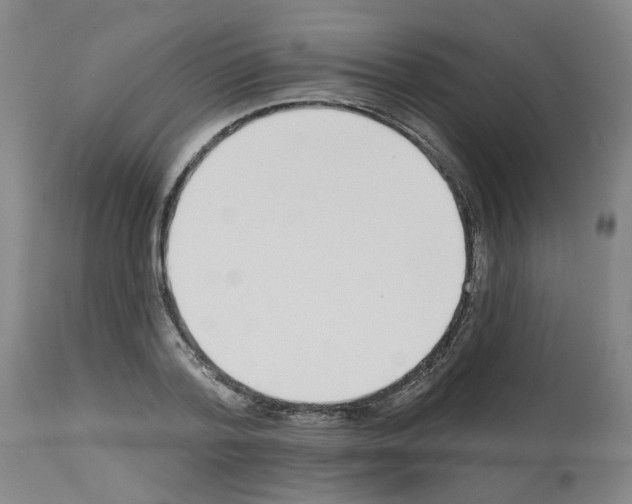 X0000112480788200909281108