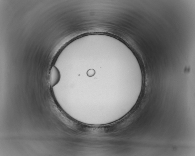 X0000112480789200909281108