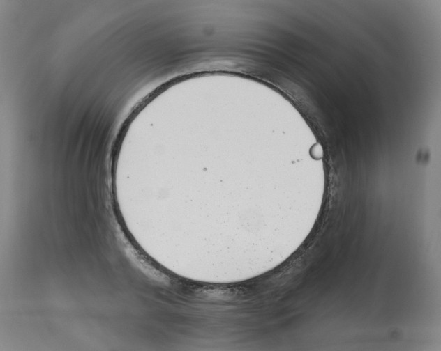 X0000112480792200909281108