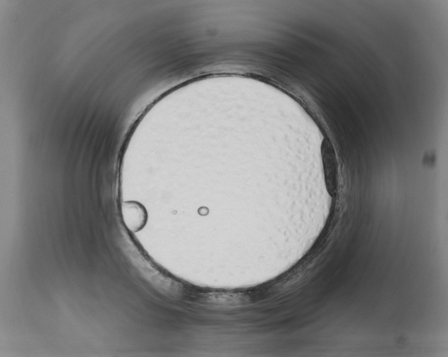 X0000112480795200909281108