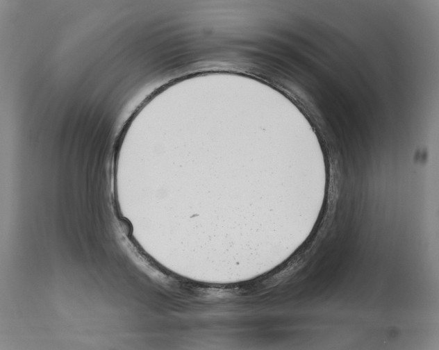 X0000112480796200909281108