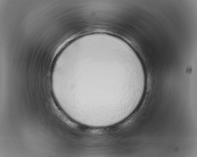 X0000112480798200909281108