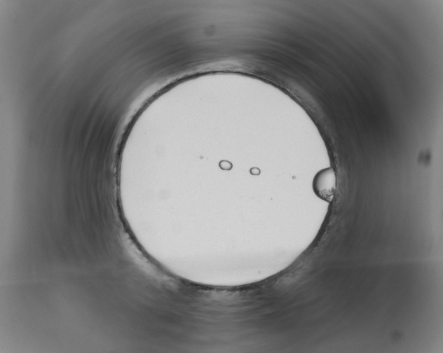 X0000112480800200909281108