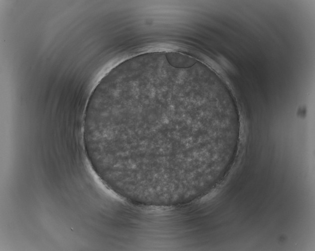 X0000112480802200909281107