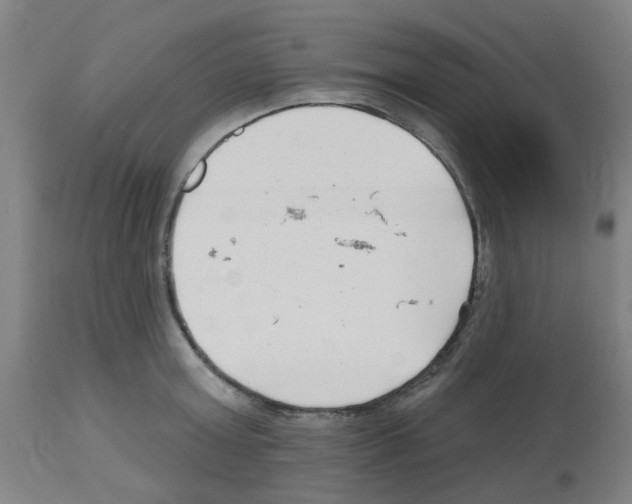 X0000112480803200909281107