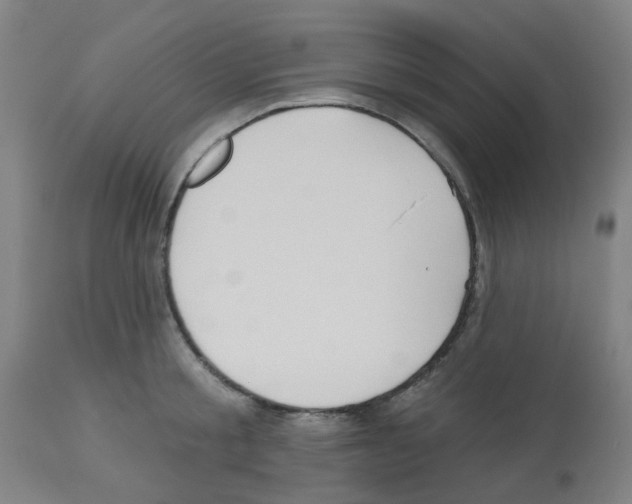 X0000112480805200909281107