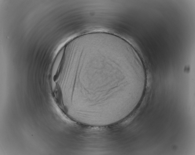 X0000112480806200909281107