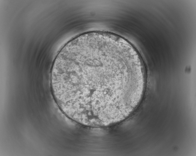 X0000112480807200909281107