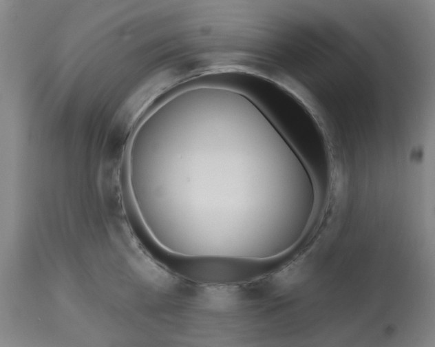 X0000112480809200909281107