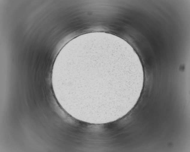 X0000112480810200909281107