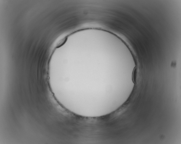 X0000112480815200909281107