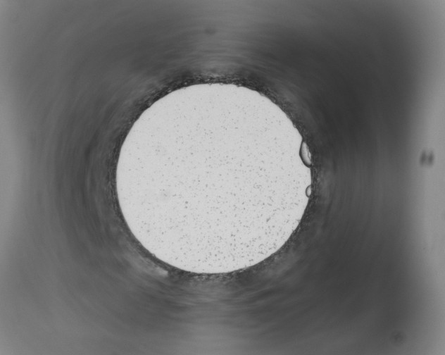 X0000112480817200909281106