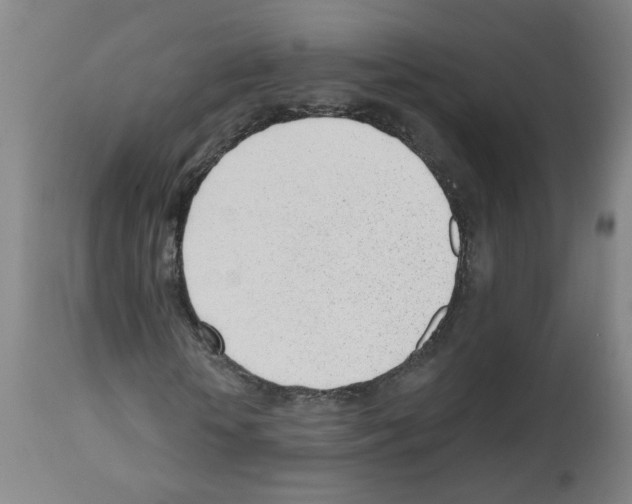 X0000112480818200909281106