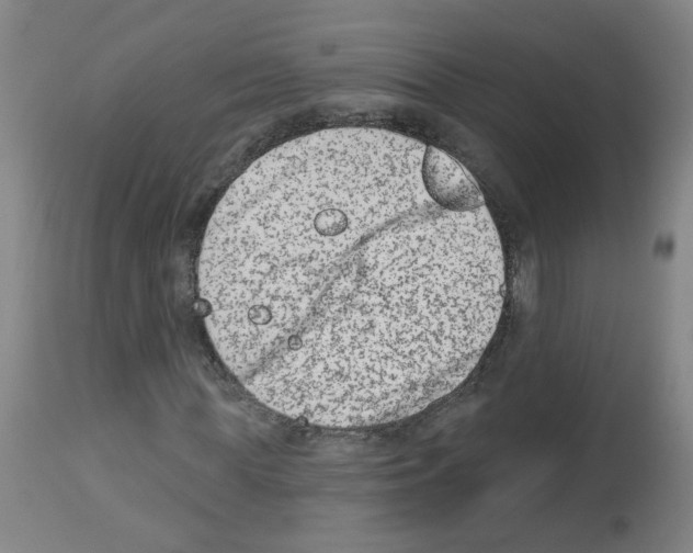 X0000112480819200909281106