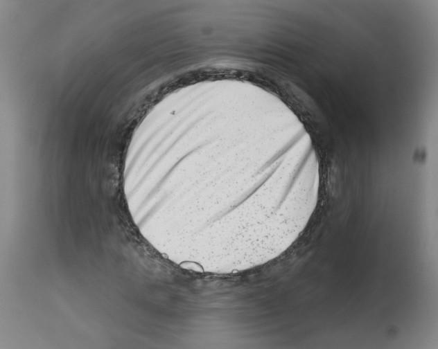 X0000112480821200909281107