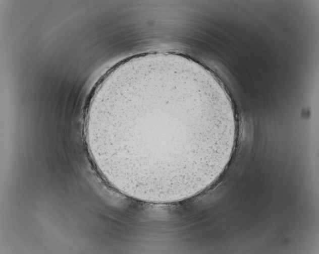 X0000112480828200909281107