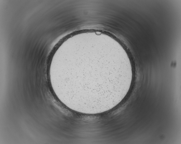 X0000112480830200909281107