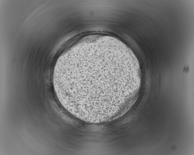 X0000112480831200909281107