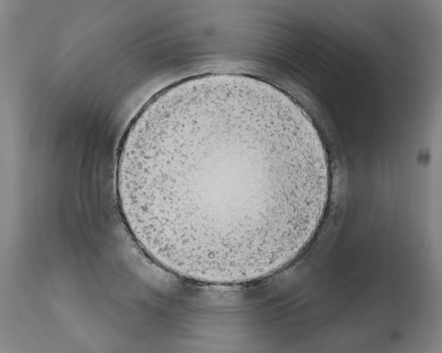 X0000112480836200909281107