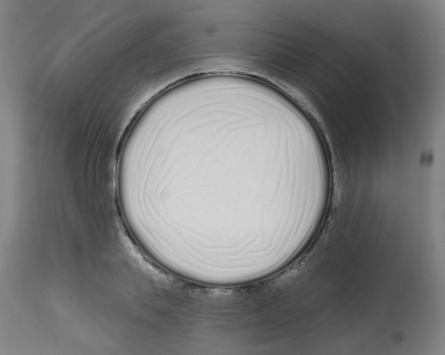 X0000112480839200909281107