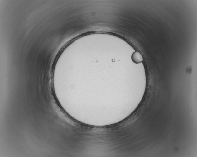 X0000112480840200909281107