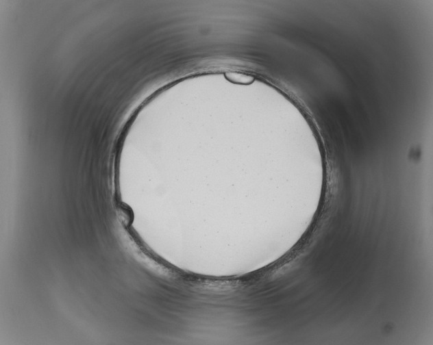 X0000112480843200909281107