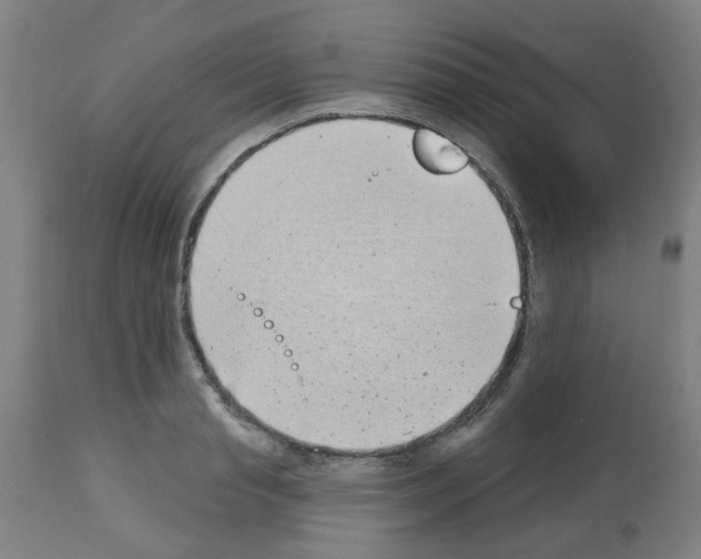 X0000112480845200909281107