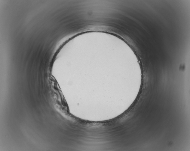 X0000112480846200909281107