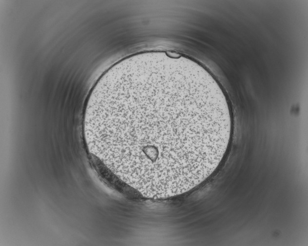 X0000112480850200909281107