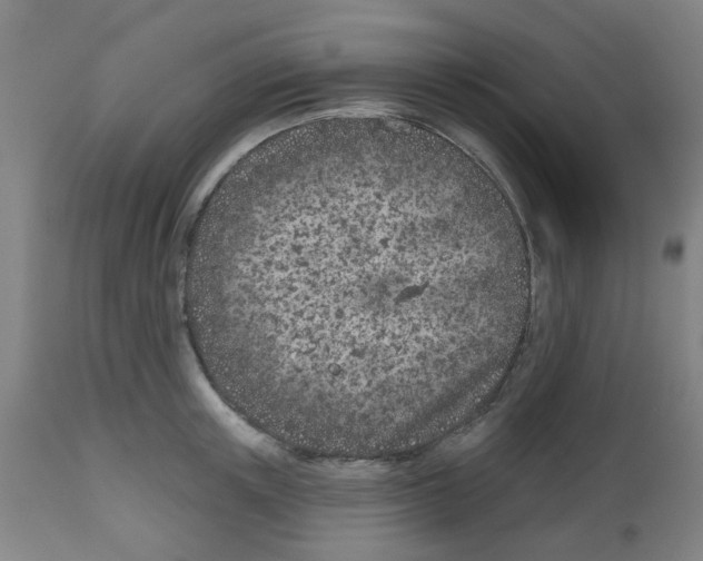 X0000112480851200909281107